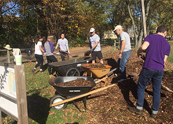 Members of Edible Evanston mulch gardens with student volunteers from Northwestern University Dance Marathon