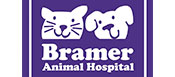 2016 CE sponsor bramer